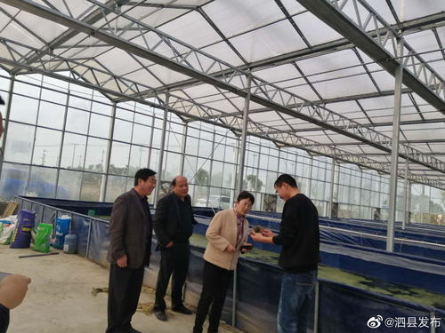 安徽宿州泗縣畜牧水產(chǎn)中心領(lǐng)導(dǎo)班子深入一線，開展工廠化水產(chǎn)養(yǎng)殖市場專題調(diào)研
